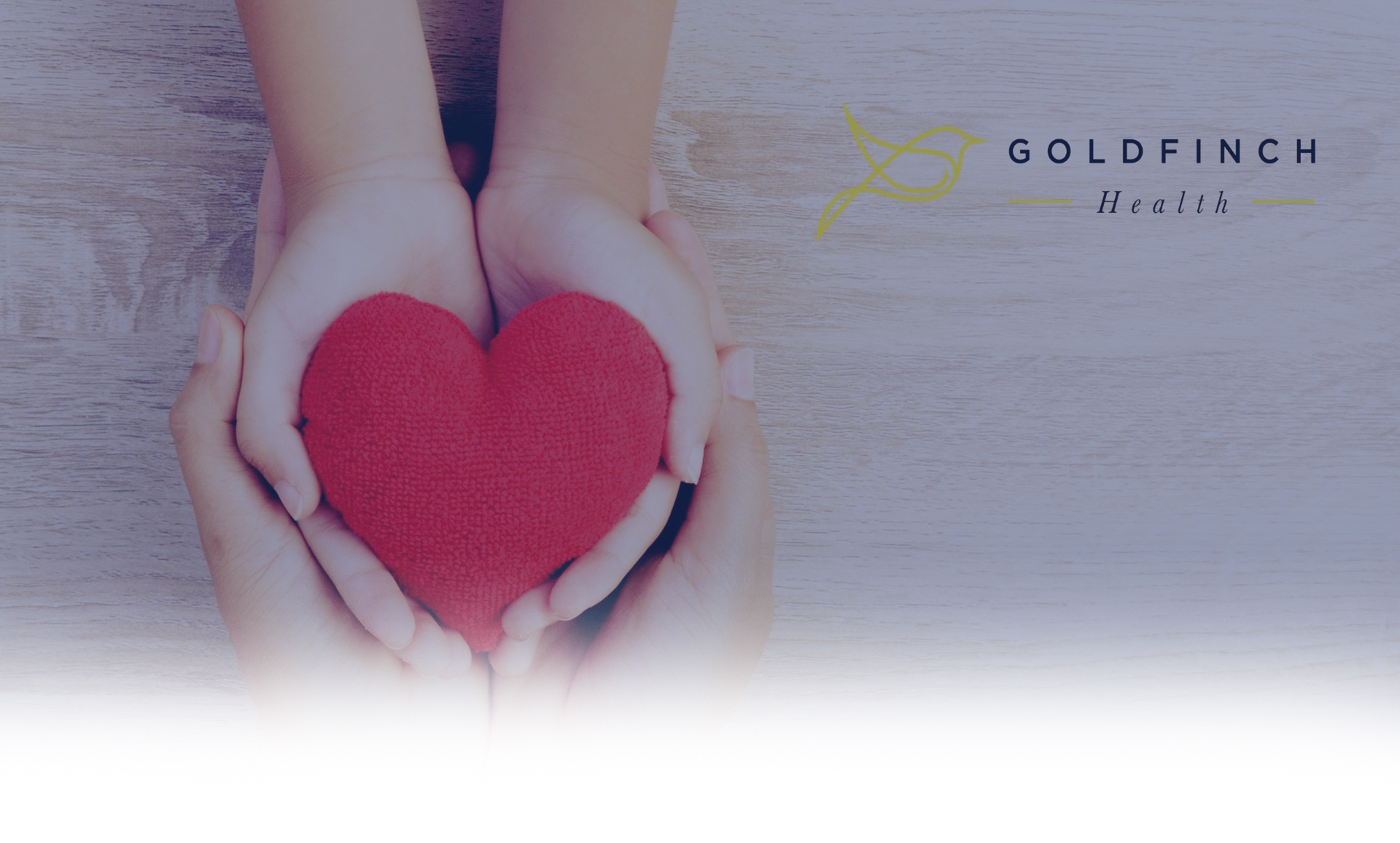 goldfinch homepage banner-final