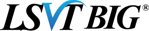 BIG LSVT Big Logo
