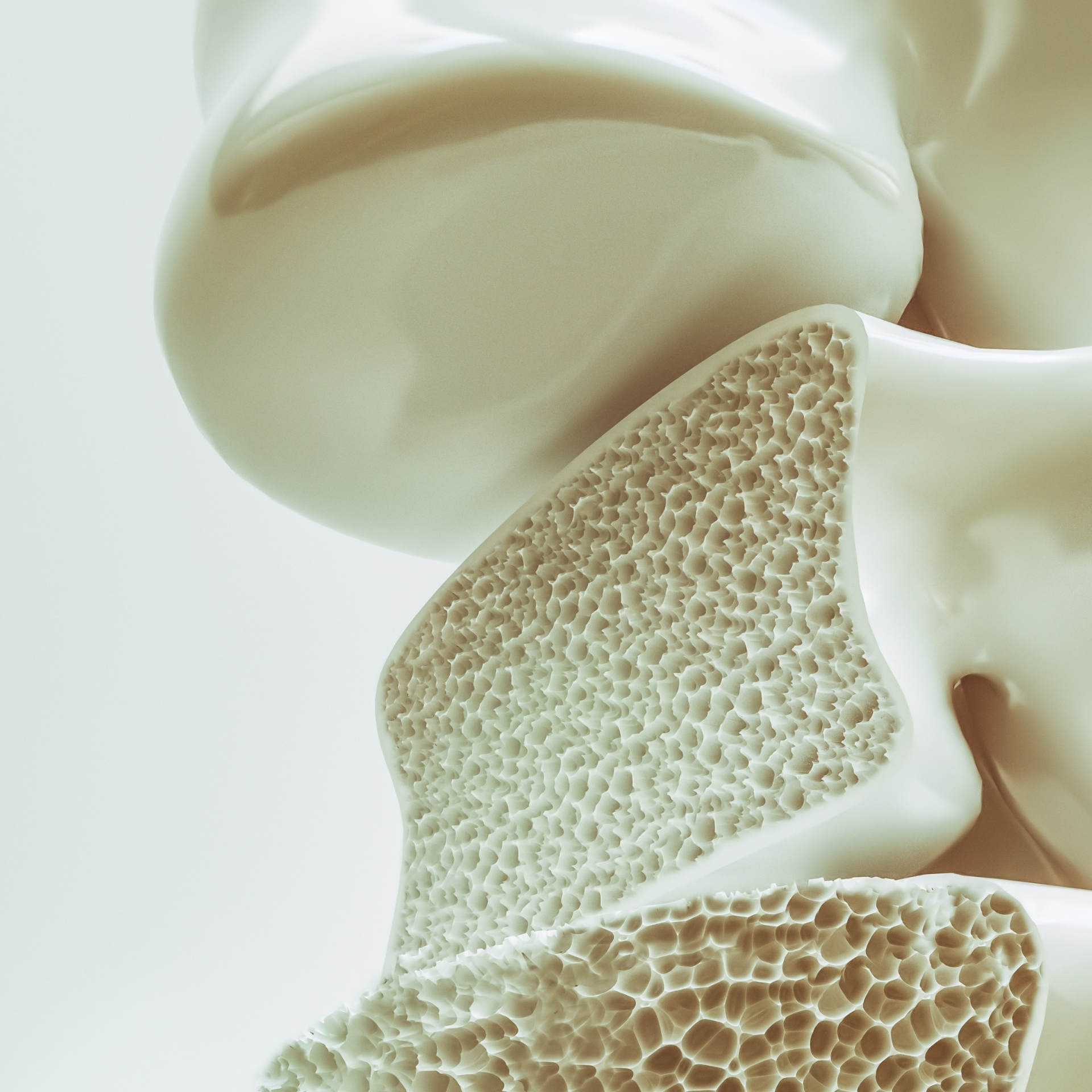 Bone Health Clinic